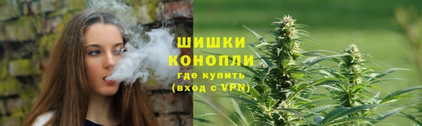 ГАЛЛЮЦИНОГЕННЫЕ ГРИБЫ Аркадак