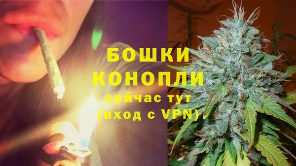 ГАЛЛЮЦИНОГЕННЫЕ ГРИБЫ Армянск