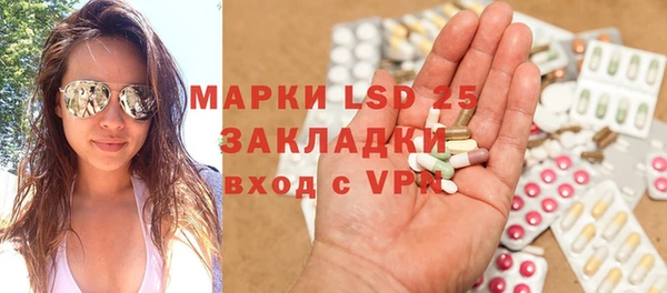ГАЛЛЮЦИНОГЕННЫЕ ГРИБЫ Аркадак